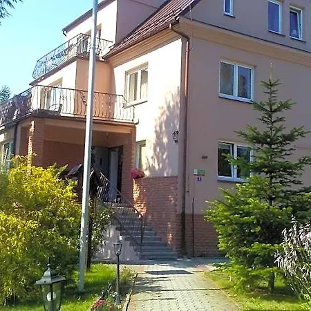 Zimowit W Wiśle *